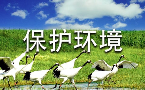 保护环境主题发言稿