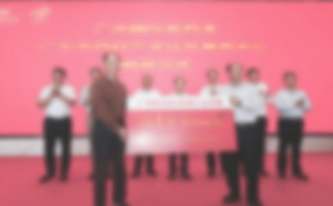 ʽϵ쵼