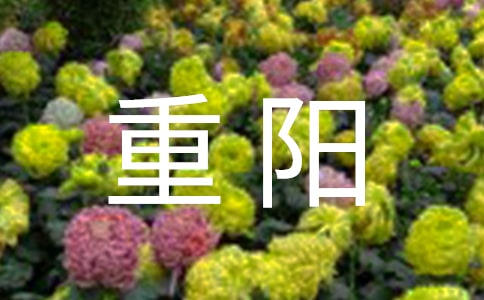 ѽڸжݽͨ